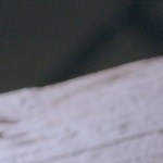 Mini pizzas de queso y setas