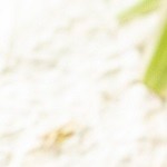 Filete de pescado en salsa de tamarindo