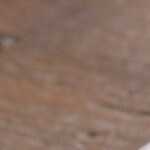 manzana, aguacate y roquefort