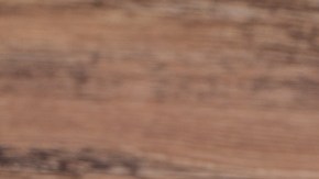 Pollo en salsa de ostras