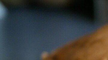 bizcocho de coco y piña