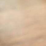 ensalada de aguacate y nopales