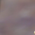 ensalada de frutas colombiana