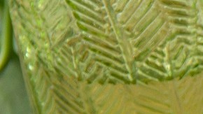 Ensalada de huevo con tocino