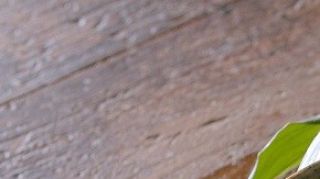 ensalada de melón, queso y aceitunas