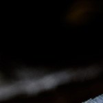 Deliciosa fajita con huevo