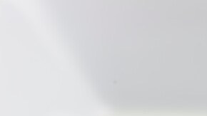 filete de salmón con espinacas salteadas