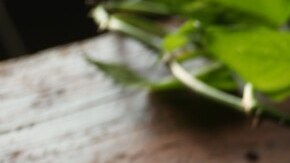 mousse de yogur y cítricos