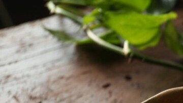 mousse de yogur y cítricos