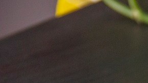 pasta con tomate picante y tocino