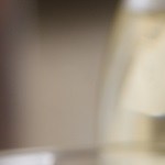 pechuga rellena de frutos secos