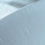 camarones a la cucaracha