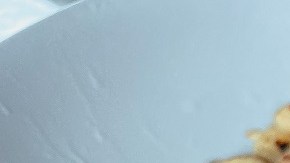 camarones a la cucaracha