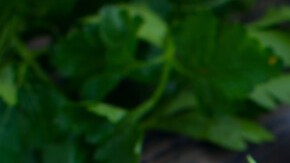 pollo con champiñones y espinacas