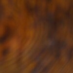 burrito de carne asada