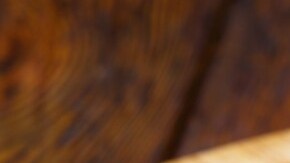 burrito de carne asada