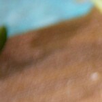 pasta casera sin máquina