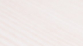 Arroz con pollo de El Salvador