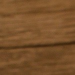 Ayote de miel salvadoreño