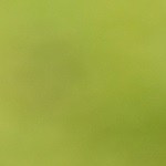 Café de maíz salvadoreño