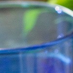 pollo en salsa de maple y mostaza