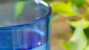 pollo en salsa de maple y mostaza