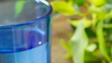 pollo en salsa de maple y mostaza