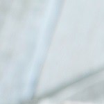 risotto de espinacas