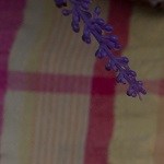 Empanadas paraguayas de carne