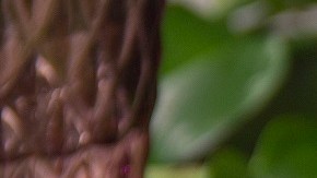 pasta con queso feta y tomates cherry