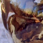 Risotto de arroz integral con setas