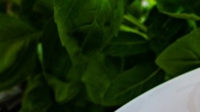 Risotto de berenjena