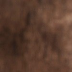 risotto de quinoa y hongos