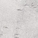 albondigas salvadoreñas