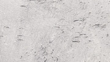 albondigas salvadoreñas