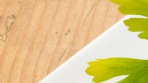 calamares rellenos de jamón