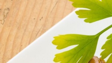 calamares rellenos de jamón