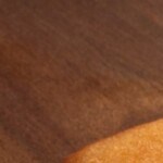 marquesote salvadoreño