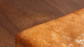 marquesote salvadoreño