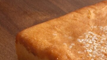 marquesote salvadoreño