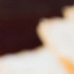 champiñones gratinados