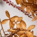 risotto de queso azul y peras