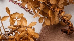 risotto de queso azul y peras