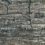 camarones entomatados