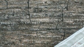 camarones entomatados