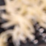 pechuga rellena de setas