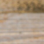 costillas de cerdo entomatadas