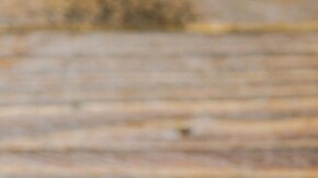 costillas de cerdo entomatadas