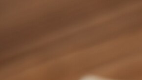 batido de helado de vainilla con galletas