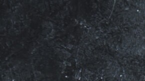 fideos soba con verduras